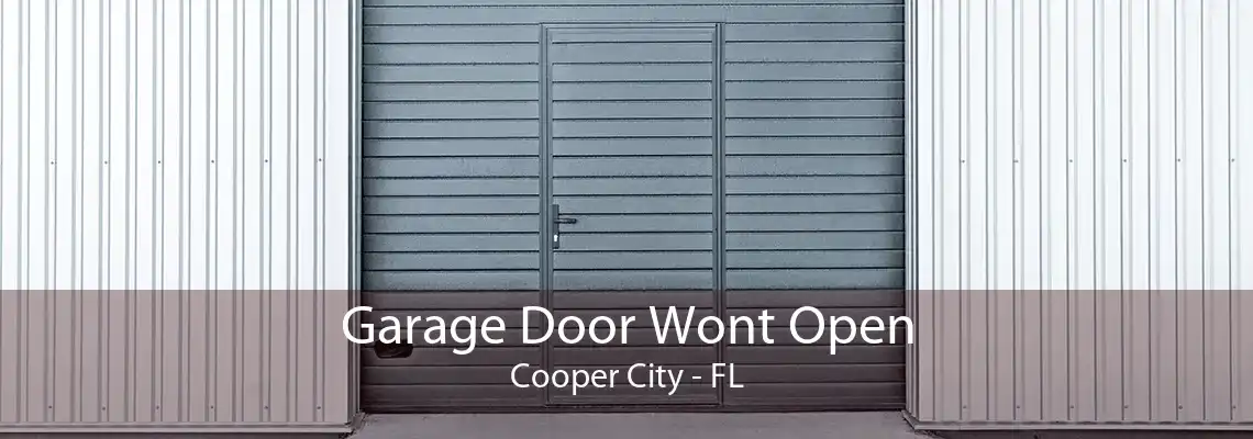 Garage Door Wont Open Cooper City - FL