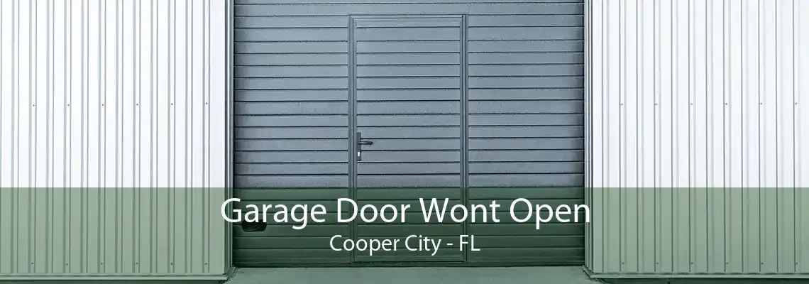 Garage Door Wont Open Cooper City - FL