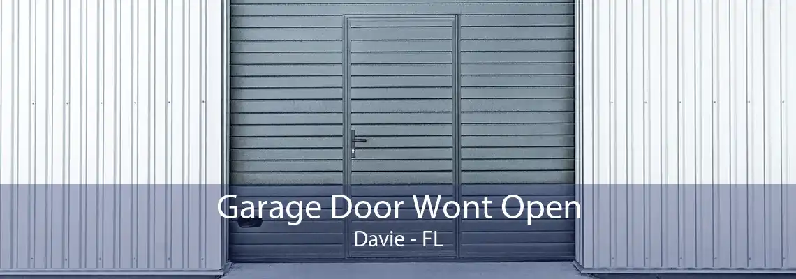 Garage Door Wont Open Davie - FL