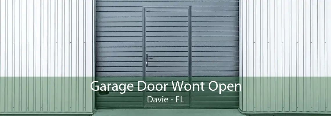 Garage Door Wont Open Davie - FL