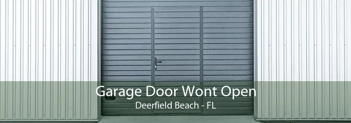 Garage Door Wont Open Deerfield Beach - FL