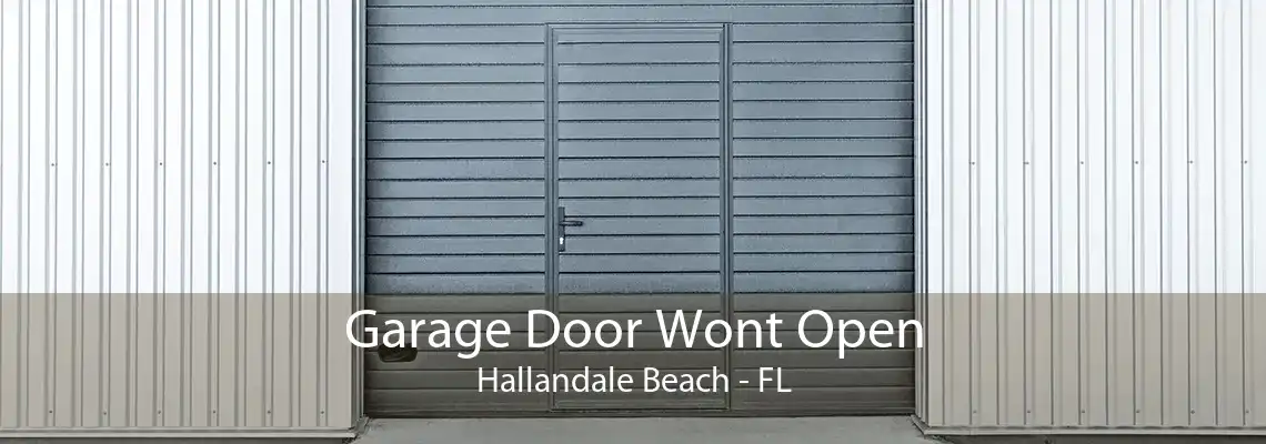 Garage Door Wont Open Hallandale Beach - FL