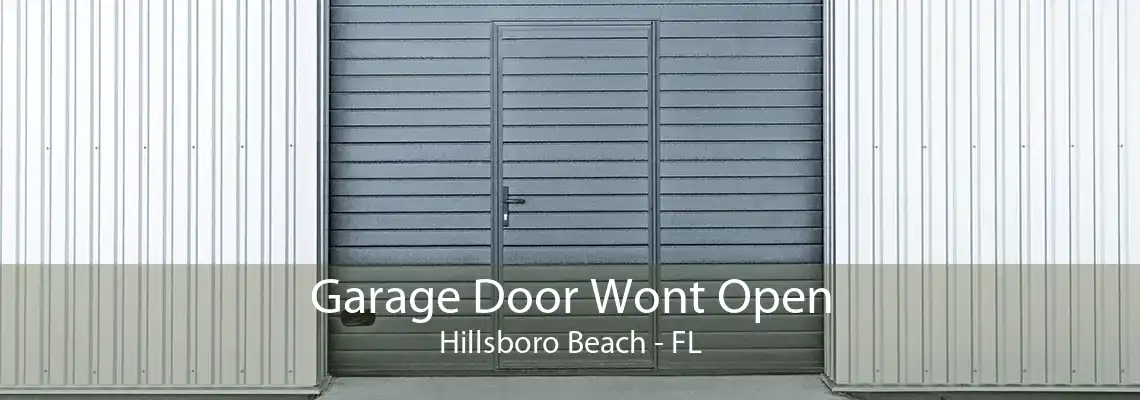 Garage Door Wont Open Hillsboro Beach - FL
