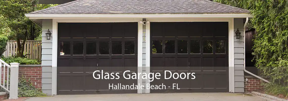 Glass Garage Doors Hallandale Beach - FL