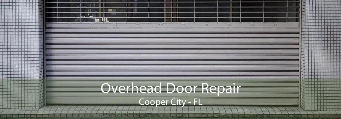 Overhead Door Repair Cooper City - FL