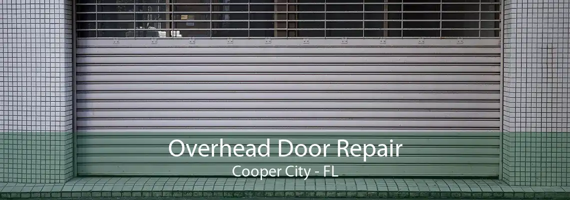 Overhead Door Repair Cooper City - FL