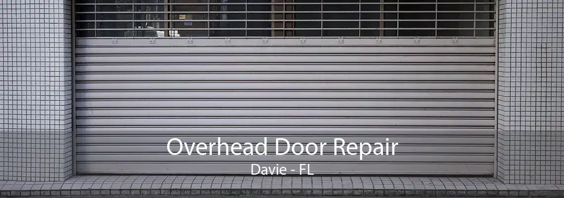 Overhead Door Repair Davie - FL