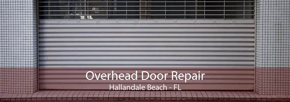 Overhead Door Repair Hallandale Beach - FL