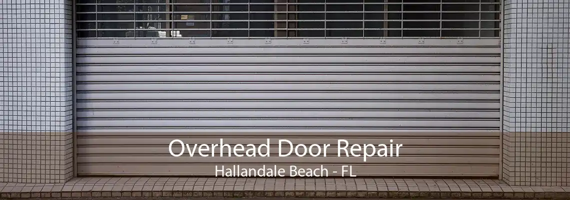 Overhead Door Repair Hallandale Beach - FL