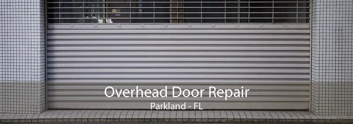 Overhead Door Repair Parkland - FL