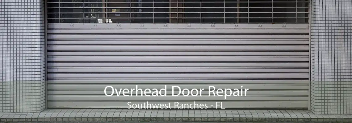 Overhead Door Repair Southwest Ranches - FL