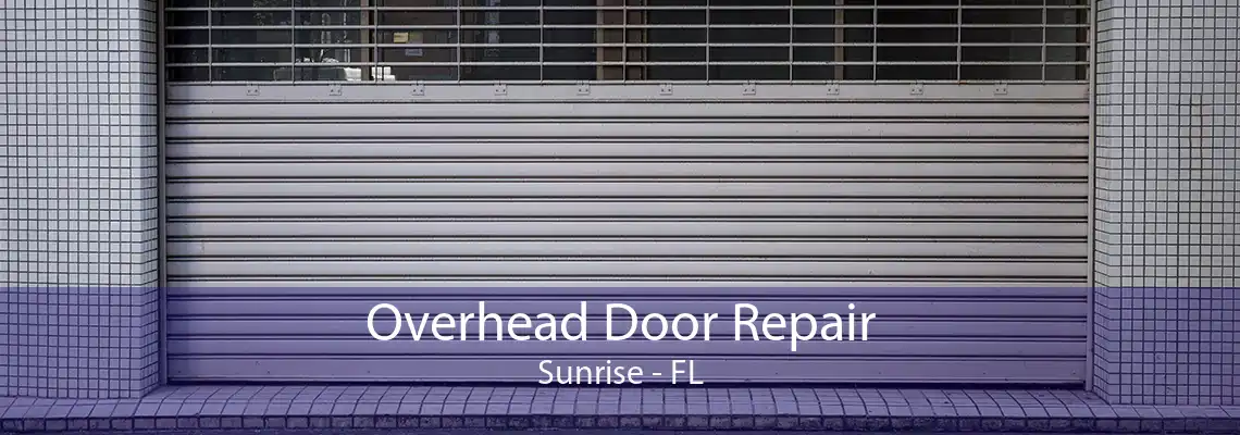 Overhead Door Repair Sunrise - FL