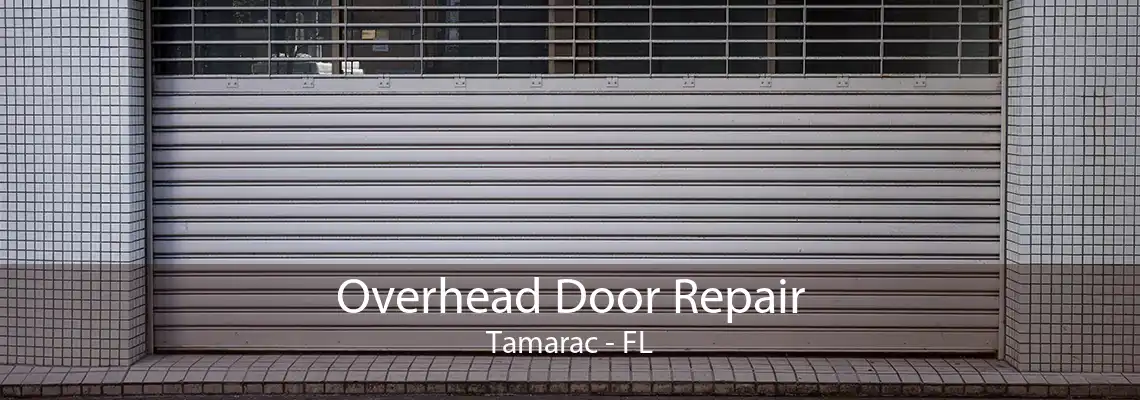Overhead Door Repair Tamarac - FL