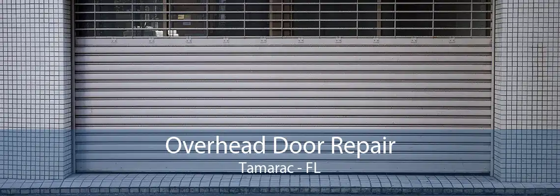 Overhead Door Repair Tamarac - FL